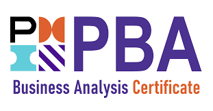 PMI-PBA Training in UAE